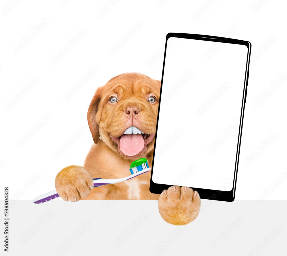 Poster Mastiff puppy with funny big teeth holds the toothbrush with toothpaste and holds big smartphone with white blank screen in it paw above empty banner. isolated on white background