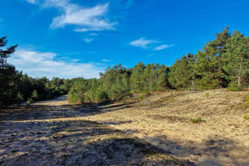 Small sand drift in Dutch  Loonse en Drunense Duinen National Park