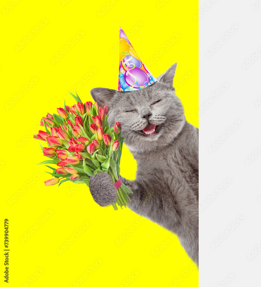 Aufkleber happy cat wearing party cap holds bouquet of tulips and looks from behind empty white banner. isolat