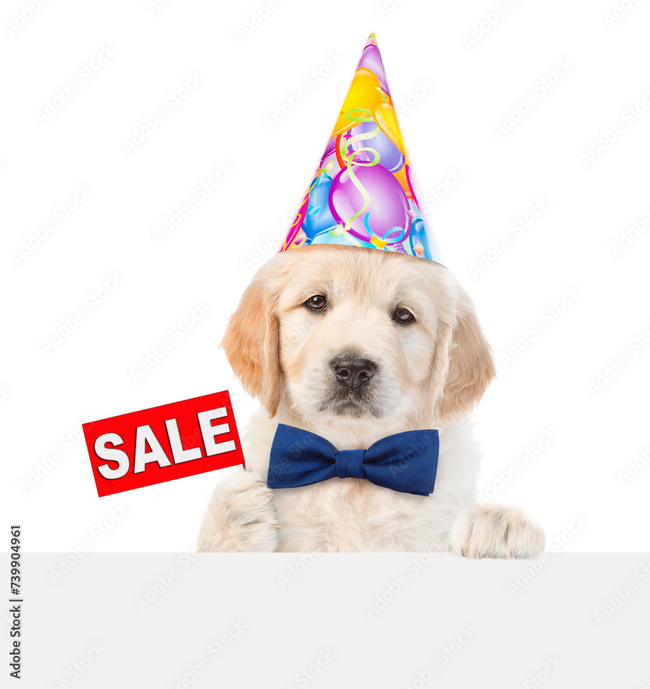 Poster golden retriever puppy wearing tie bow and party cap shows signboard with labeled 