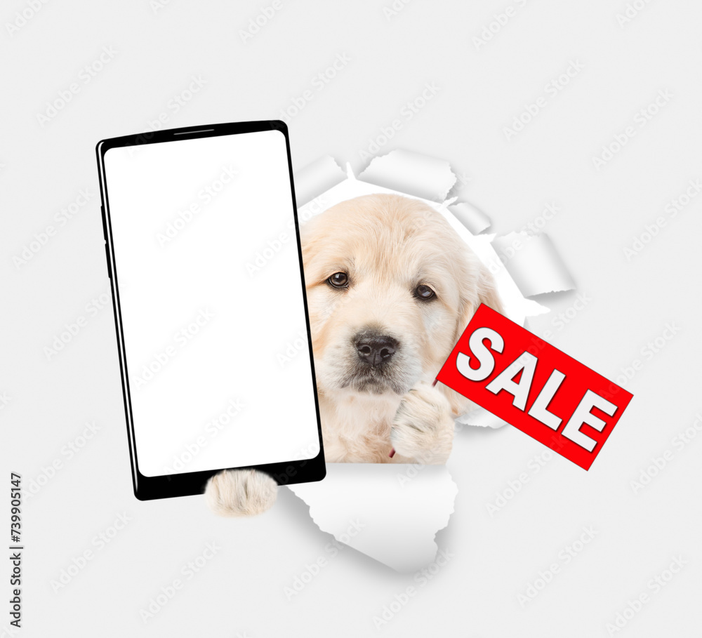 Poster golden retriever puppy shows big smartphone with white blank screen in it paw and signboard with lab