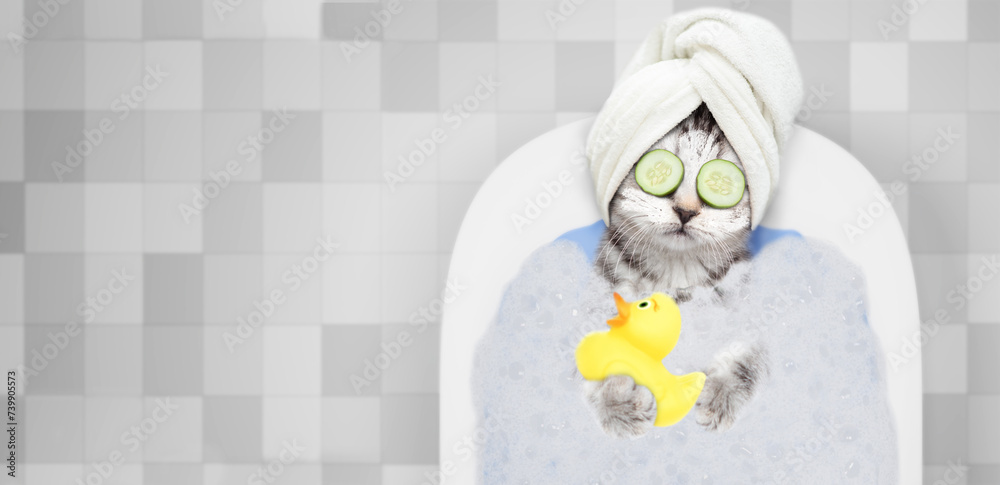 Aufkleber cute kitten with towel on it head, with pieces of cucumber on it eyes and with cream on it face take
