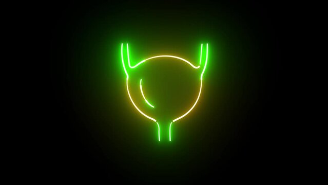 Neon bladder icon animation. Part of human urinary system animation. Bladder Control icon neon sign. bladder human organ animation on the black background.