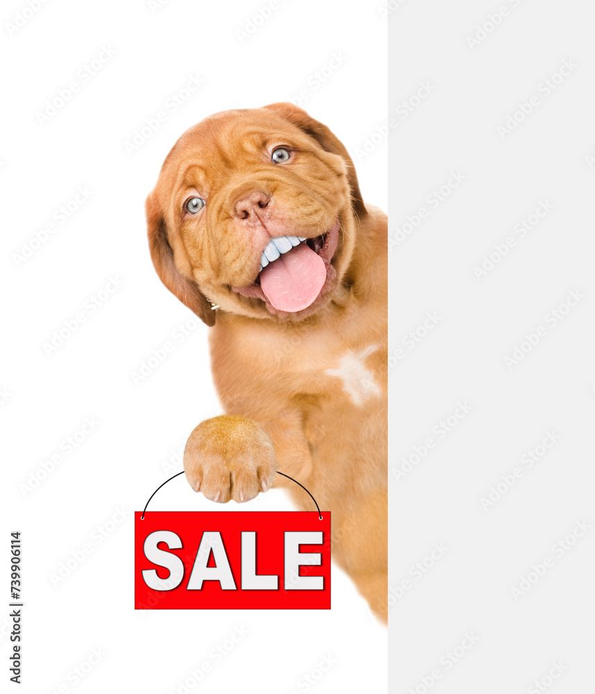 Aufkleber happy mastiff puppy with funny teeth shows signboard with labeled 