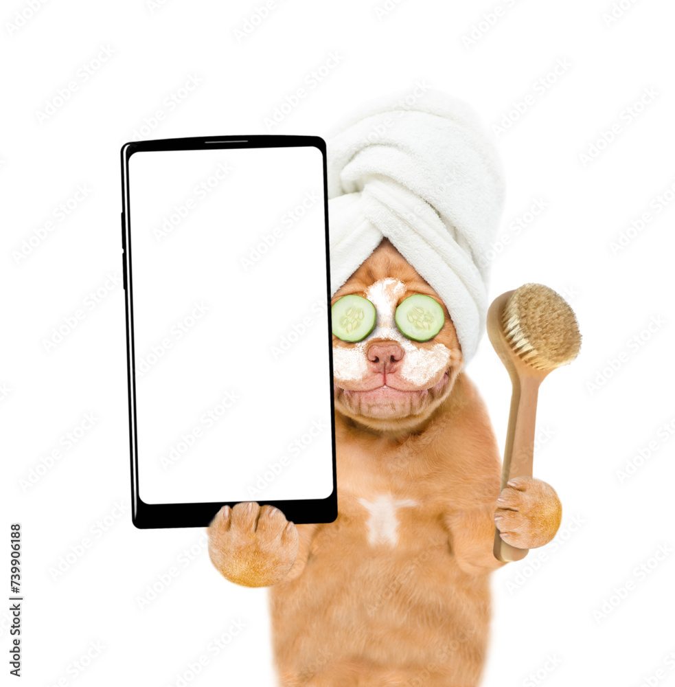 Aufkleber mastiff puppy with towel on it head with pieces of cucumber on it eyes and with cream on it face hol