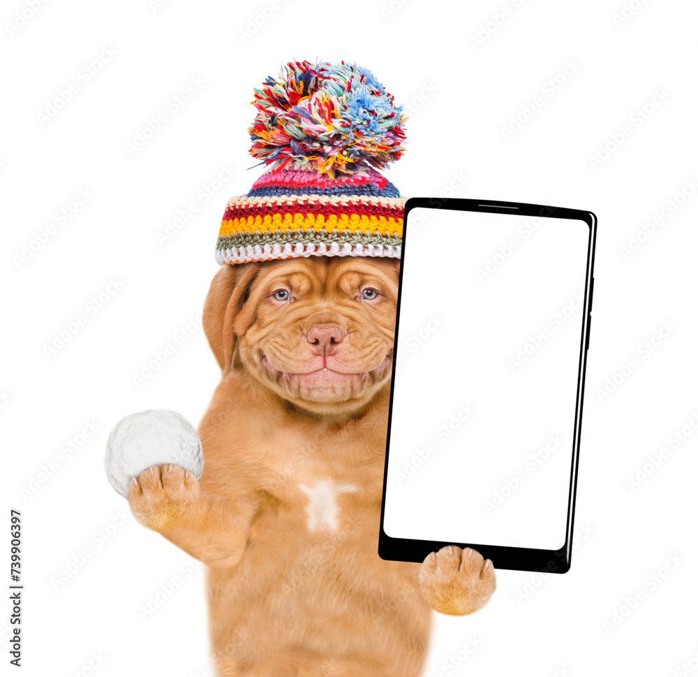 Aufkleber smiling puppy wearing a warm hat with pompon holds snowball and holds smartphone with white blank sc