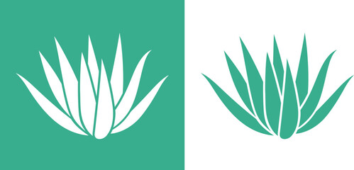 Agave logo. Isolated agave on white background - obrazy, fototapety, plakaty