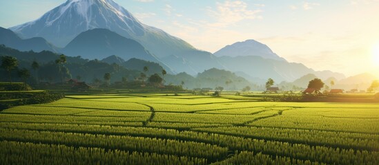 beautiful views of rice fields and mountains in Asia, beautiful colors and natural light from the sky