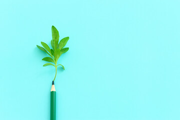 Top view image of pencil and small plant concept. idea of education, creativity, and growth - obrazy, fototapety, plakaty