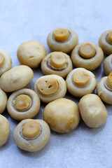 Champignon mushrooms in brine. Canned champignon mushrooms whole