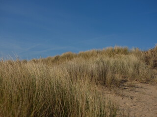 Fototapeta premium dunes in the sand