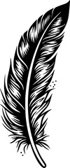 Obraz premium Feather - High Quality Vector Logo - Vector illustration ideal for T-shirt graphic