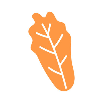 Naklejki Cabbage kimchi icon vector isolated. korean dish doodle icon, vector illustration 
