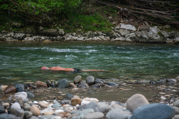 Tranquil Scene of Man with Long Hair Swimming in Mountain River among Stones and Trees