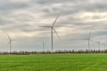 Wind turbines generating electricity in a green field. Green power generation concept.