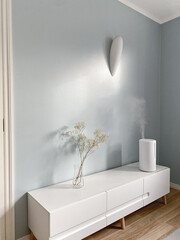 Modern air humidifier on tv stand in living room infront of blue wall - 739932112