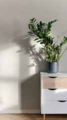 Zamioculcas plant in ceramic pot on dresser in home or office - 739932177