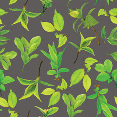 peonies floral watercolor seamless pattern illustration