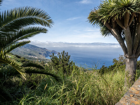 La Palma
