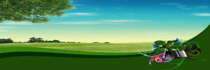 Landscape background of green grass