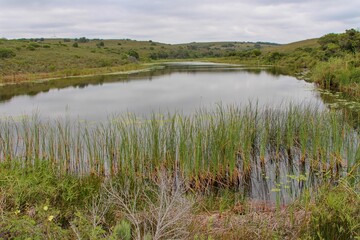 exotic nature in africa