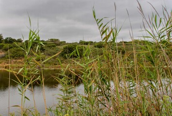 exotic nature in africa