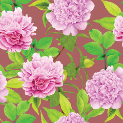 peonies floral watercolor seamless pattern illustration
