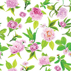 peonies floral watercolor seamless pattern illustration