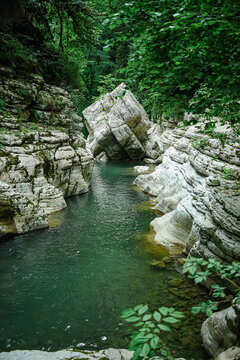 White Rock Canyon. jungle, mountain forest hiking. The Khosta River flows along the cliffs Sochi.