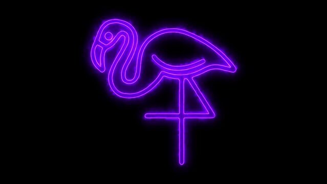 Flamingo Neon Border Icon on Black Background Animation.