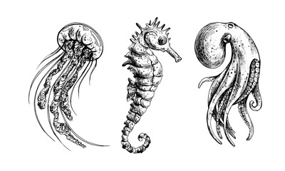 Underwater world clipart with sea animals octopus, seahorse, jellyfish. Graphic illustration hand drawn in black ink. A set of isolated elements EPS vector