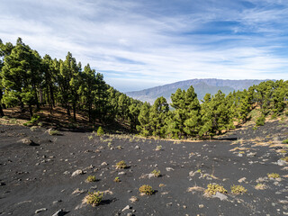 La Palma