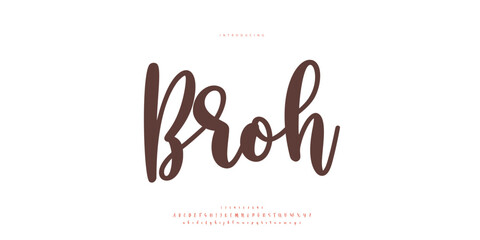 signature Font Calligraphy Logotype Script Brush Font Type Font lettering handwritten