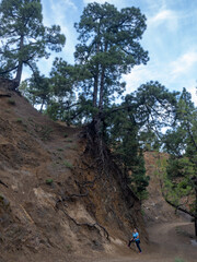 Fototapeta premium La Palma