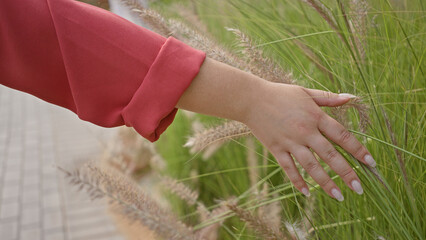 Close-up of a woman's hand touching tall grass in a city park, embodying a serene outdoor moment