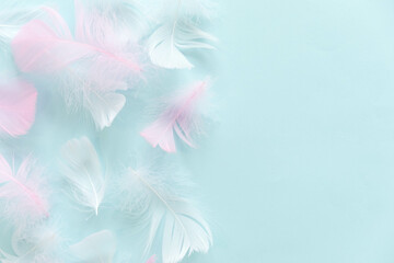 feathers abstract background. Background for design with soft colorfull feathers pattern. Soft fluffy feathers on turquoise, day dreaming concept. feather texture background Interior soft luxury