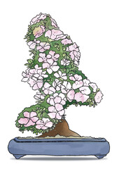 Hand-drawn bonsai subsequently digitized and colour-optimized on a transparent background with a shadow