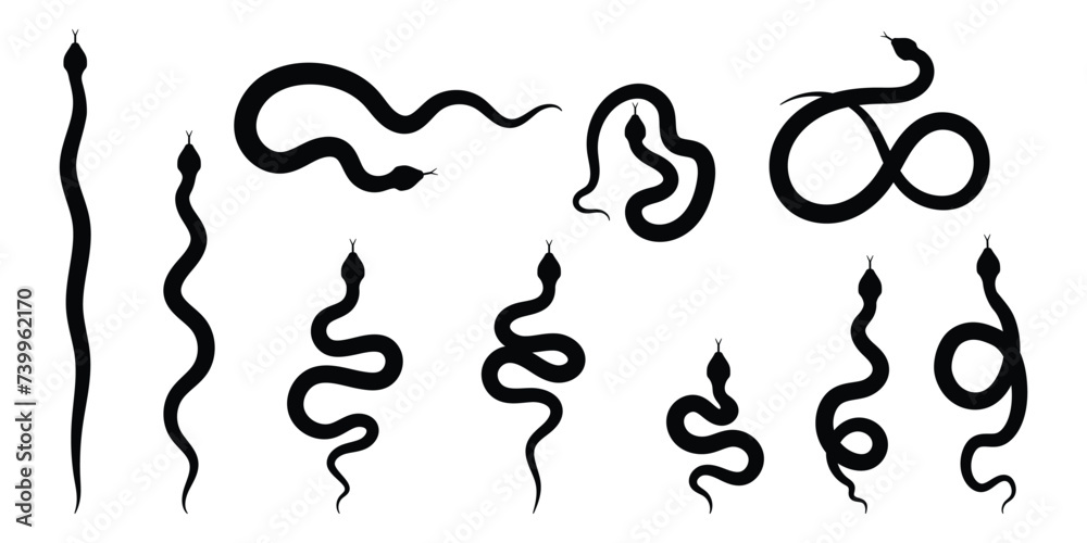 Wall mural snake on a white background. collection of snake silhouettes in various forms. top view of a snake f - Wall murals