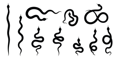 Snake on a white background. Collection of snake silhouettes in various forms. Top view of a snake for a danger warning sign design. - obrazy, fototapety, plakaty