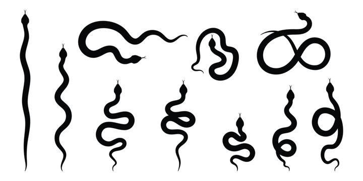 Snake on a white background. Collection of snake silhouettes in various forms. Top view of a snake for a danger warning sign design.