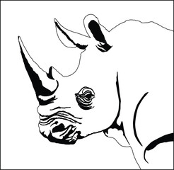 Rhinoceros head drawing