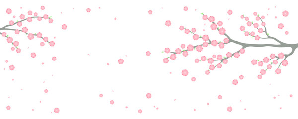 Cherry, apple, plum blossoms, fruit tree branches in bloom, pink spring flowers on transparent background, copy space. Flat style vector illustration. Design concept seasonal poster, banner, promotion