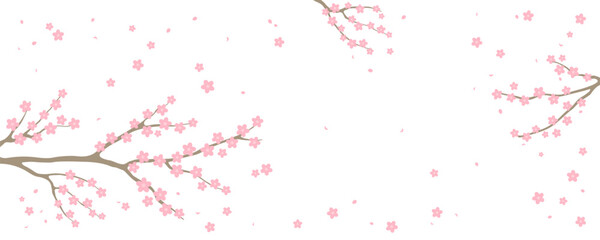Cherry, apple, plum blossoms, fruit tree branches in bloom, pink spring flowers on transparent background, copy space. Flat style vector illustration. Design concept seasonal poster, banner, promotion