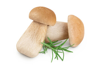 Fresh porcini cep mushroom isolated on white background with full depth of field