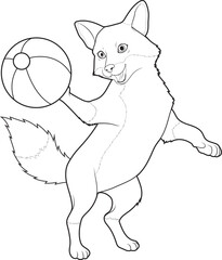Fox Beach ball Animal Vector Graphic Art Illustration