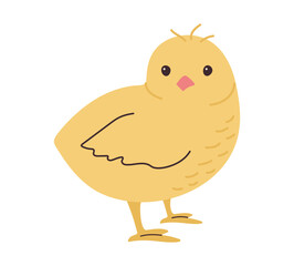 Cute hand drawn Chick isolated on white background. Simple illustration of little baby chicken. Yellow homestead bird with bangs in doodle style. Children's minimalist creativity