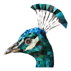 Low Poly,  peacock head green and blue low poly image, triangle mosaic pattern forming illustration of peacock