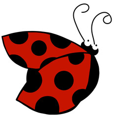 Obraz premium ladybug on white background
