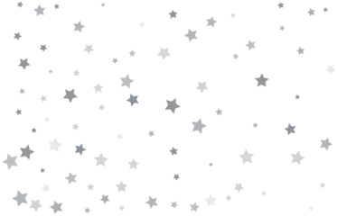 Bouquet of Silver Stars