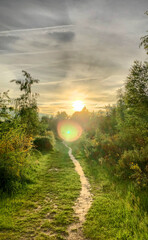 The image depicts a narrow, winding trail through a lush meadow, leading towards the warmth of a...